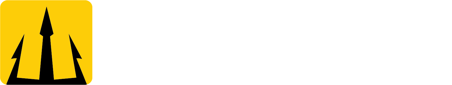 Triton3D-Logo-White-text